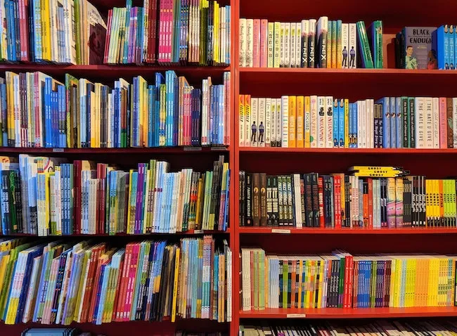 Image of bookshelves organized by genre and category for how to organize bookshelves
