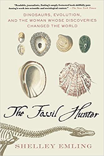 FOSSIL HUNTER book cover