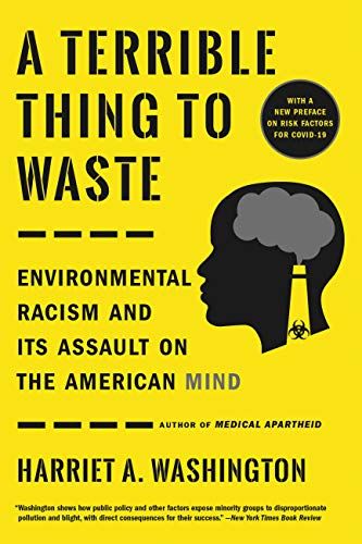 cover image of A Terrible Thing to Waste by Harriet A. Washington