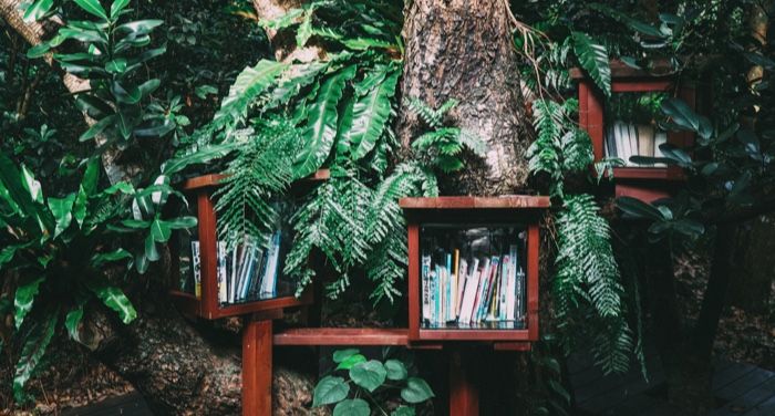 little free libraries