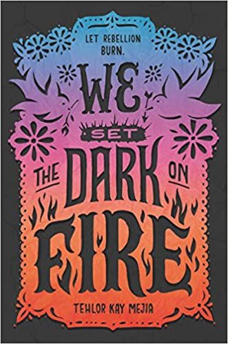 We Set the Dark on Fire book cover