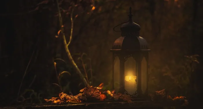 a lantern on a bed of dry leaves in a forest