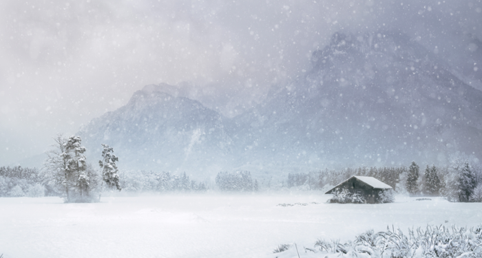 Cabin surrounded by snowy weather