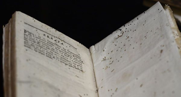 A book showing damage from insect infestation by Ragesoss