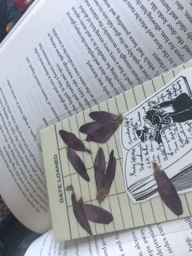 Pressed flower bookmark with scattered petals laying on a book.

[photo by me]