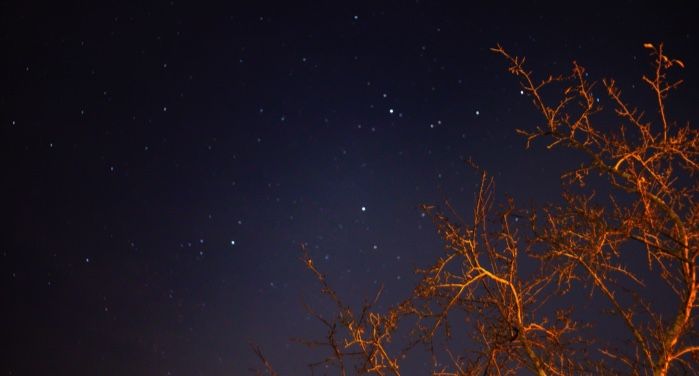 image of a tree bathed in orange light against a starry sky https://unsplash.com/photos/zWNdEfyVEEs