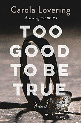 too good to be true book cover