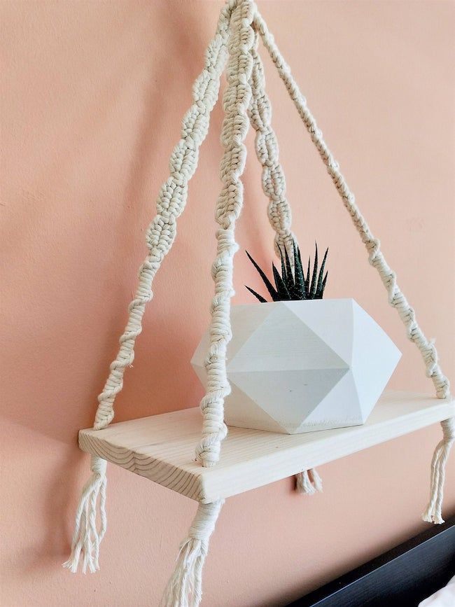 Hanging shelf with plant