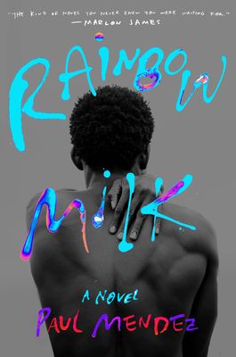Rainbow Milk by Paul Mendez book cover