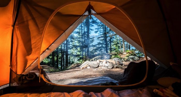 tent interior with open flap showing forest outside for camping