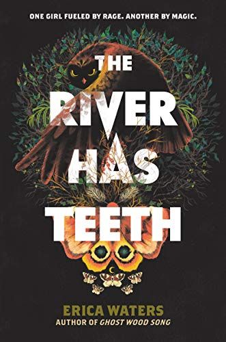 The River Has Teeth cover