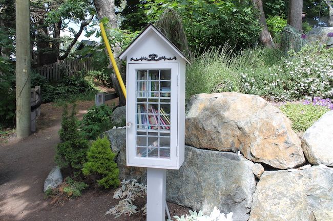 little free library photo