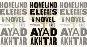 Homeland Elegies book cover