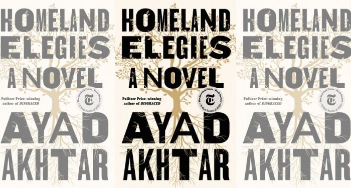 Homeland Elegies book cover