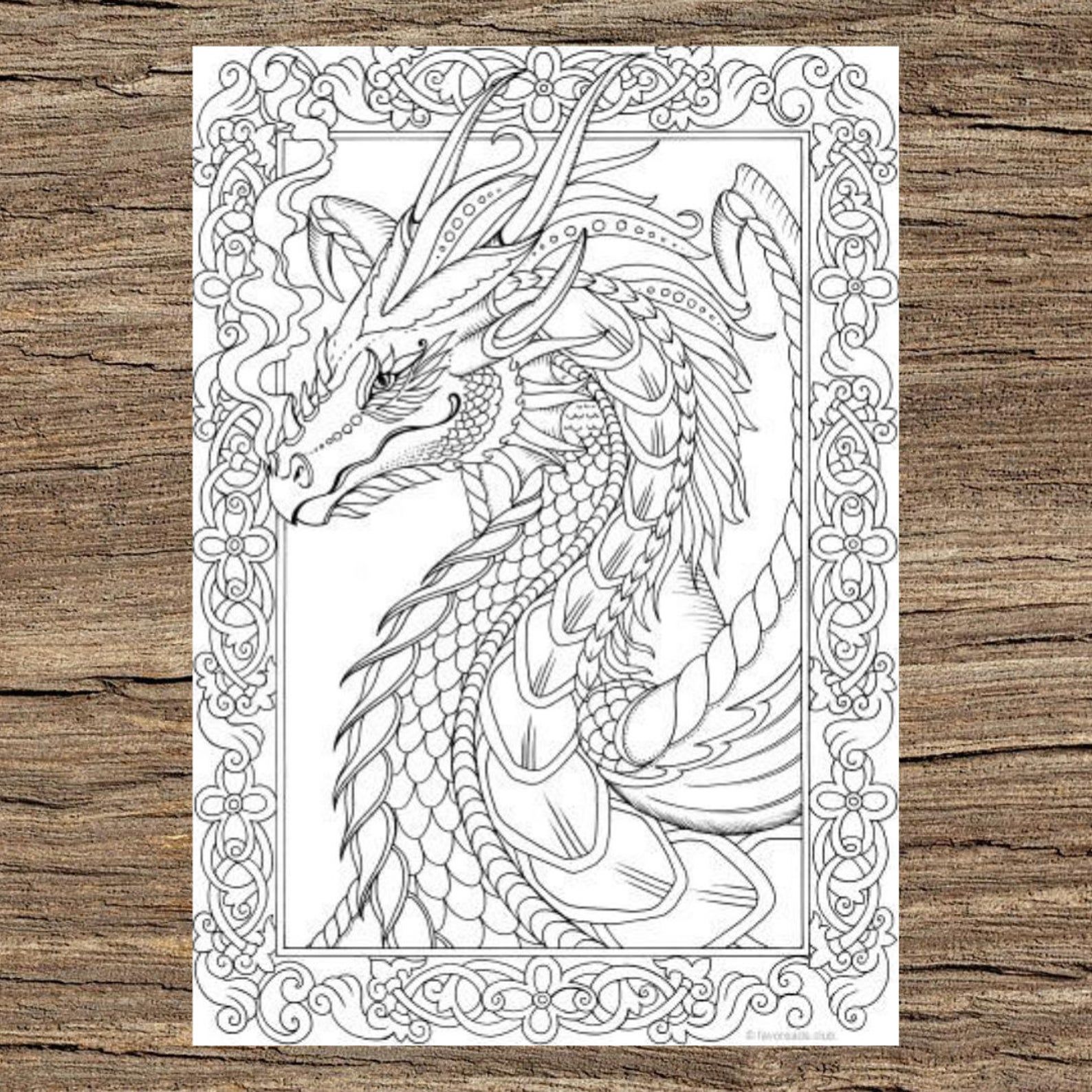 dargon coloring book design