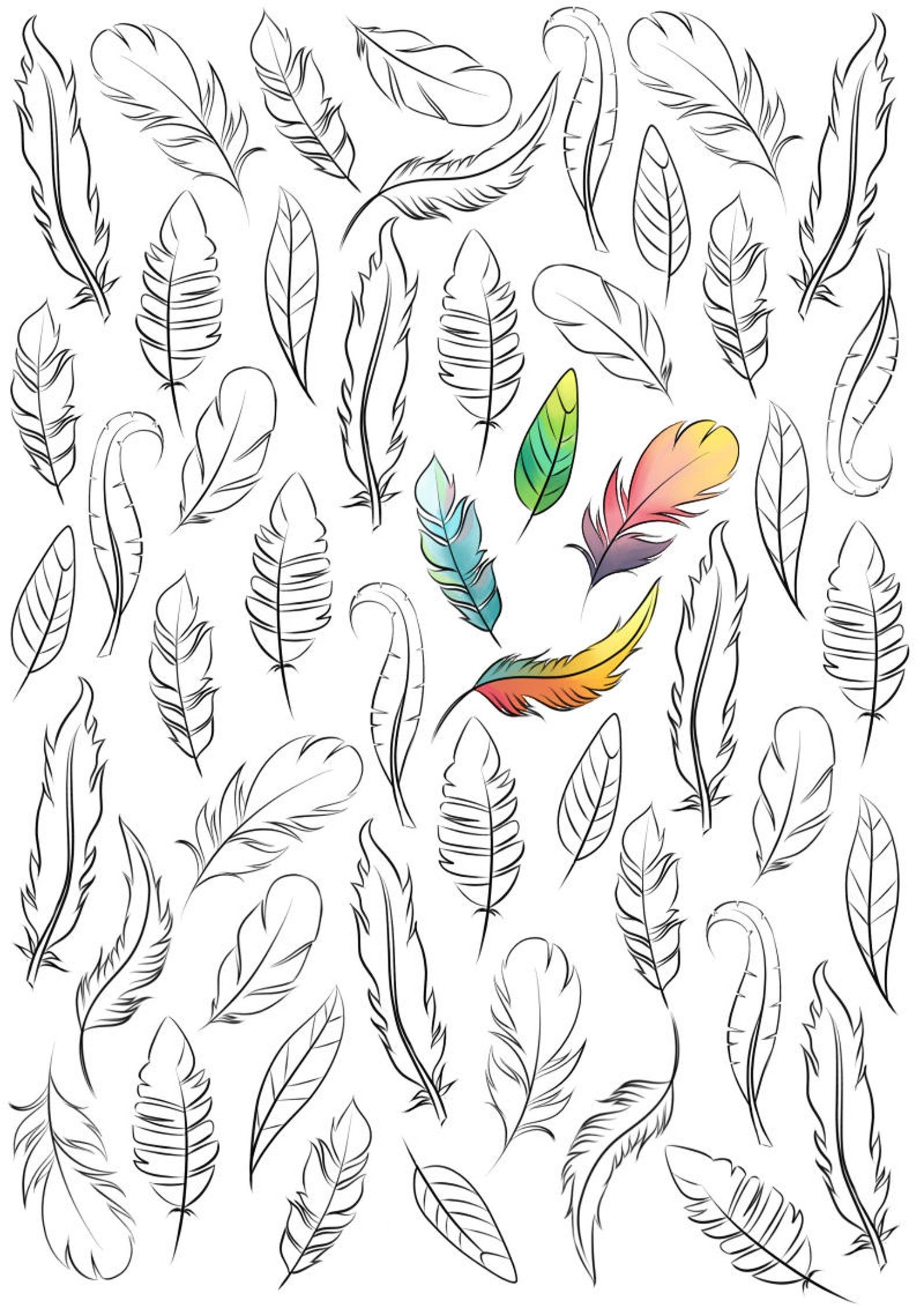 coloring book design of feathers