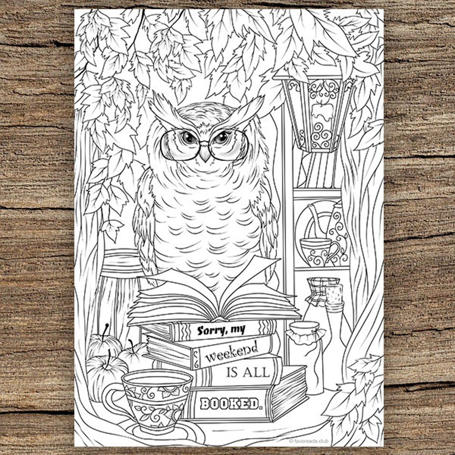 coloring book design of an owl perched on a stack of books that say "Sorry, my weekend is all booked"