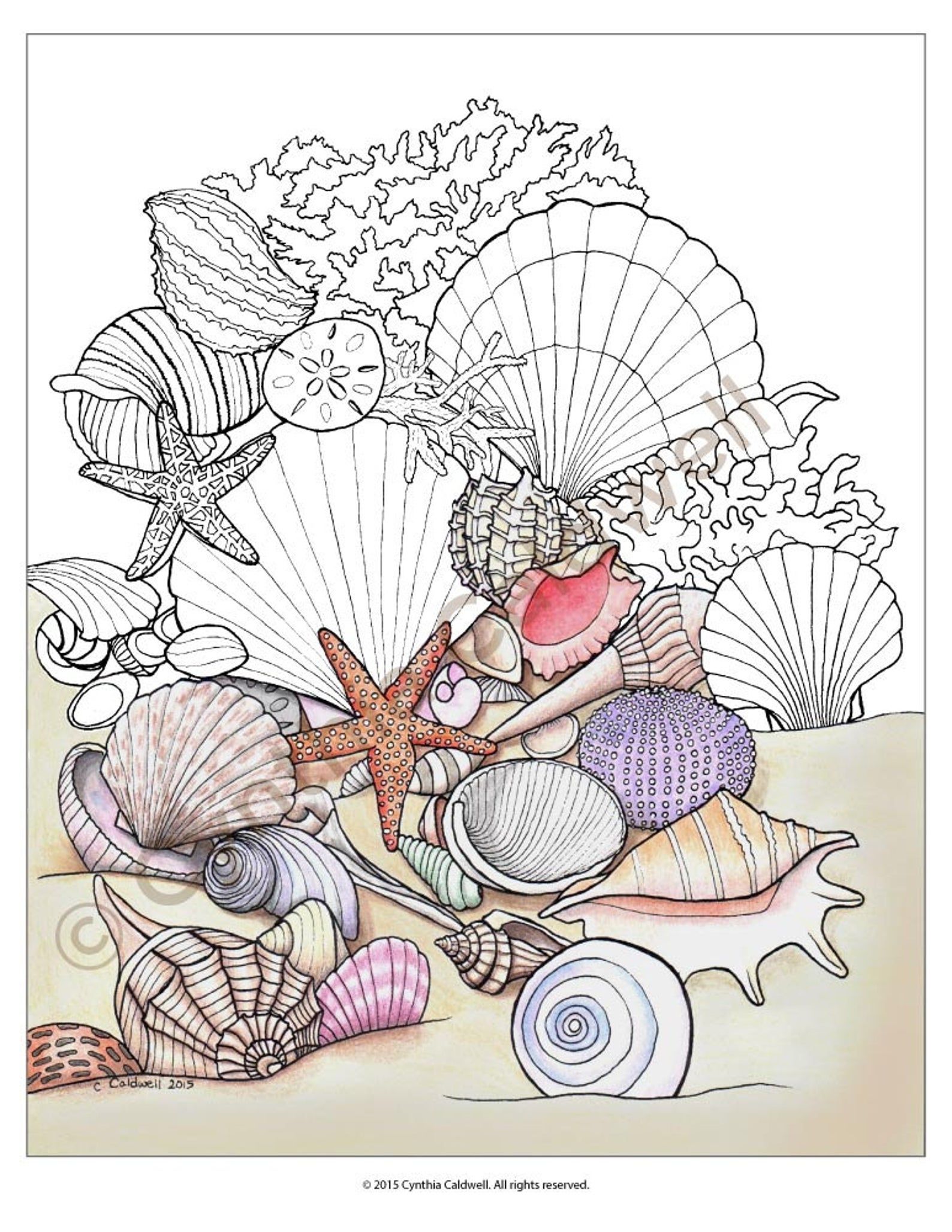 Seashells coloring book design