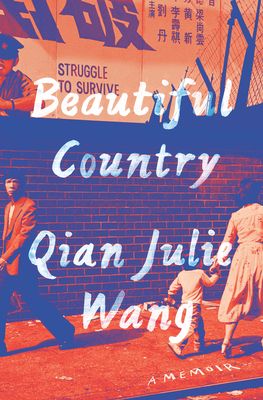 Beautiful Country book cover