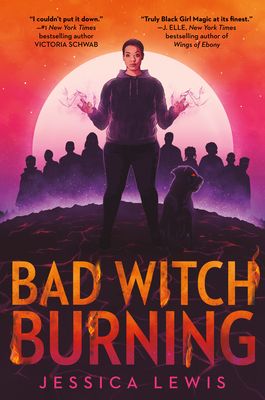 bad witch burning book cover