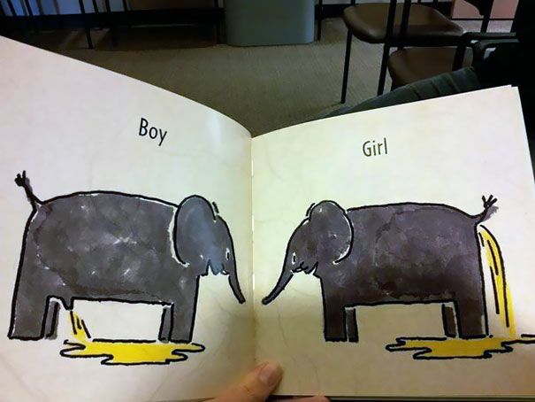 image of two elephants labeled boy and girl urinating