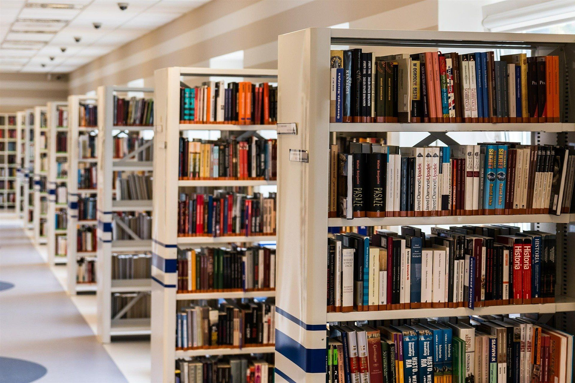 Public Library Shelves