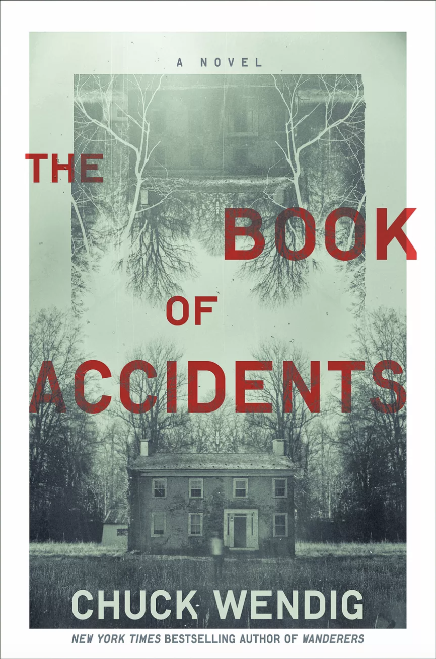 the book of accidents cover