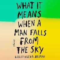 A graphic of the cover of What It Means When a Man Falls from the Sky by Lesley Nneka Arimah