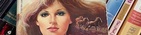 close up of a romance cover with a woman whose brown hair blends into images of horses