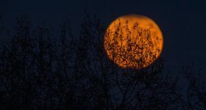 Image of a full orange moon