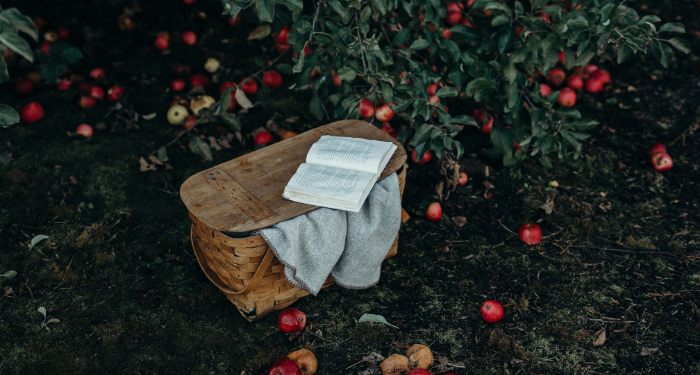 an open book resting on top of a brown wicker basket surrounded by green plants and red fruit