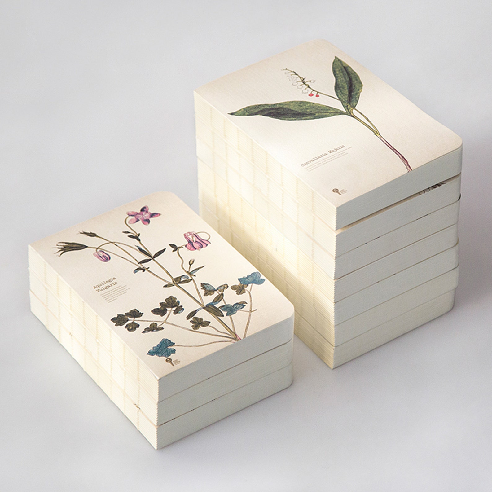 Image of a stack of white notebooks. All have an herb on the cover. 