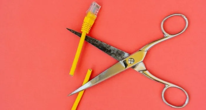 Image of scissors cutting ethernet cable