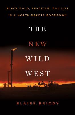 the new wild west book cover