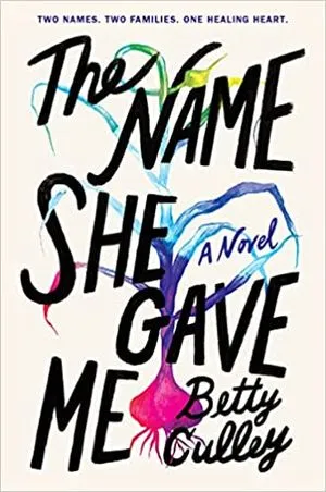 the name she gave me book cover
