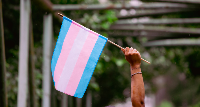 a photo of someone holding up a trans flag