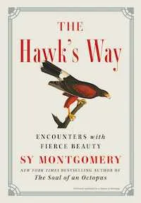 Hawk's Way cover