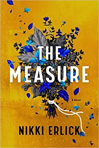The Measure by Nikki Erlick