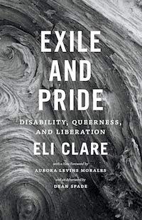 A graphic of the cover of Exile and Pride