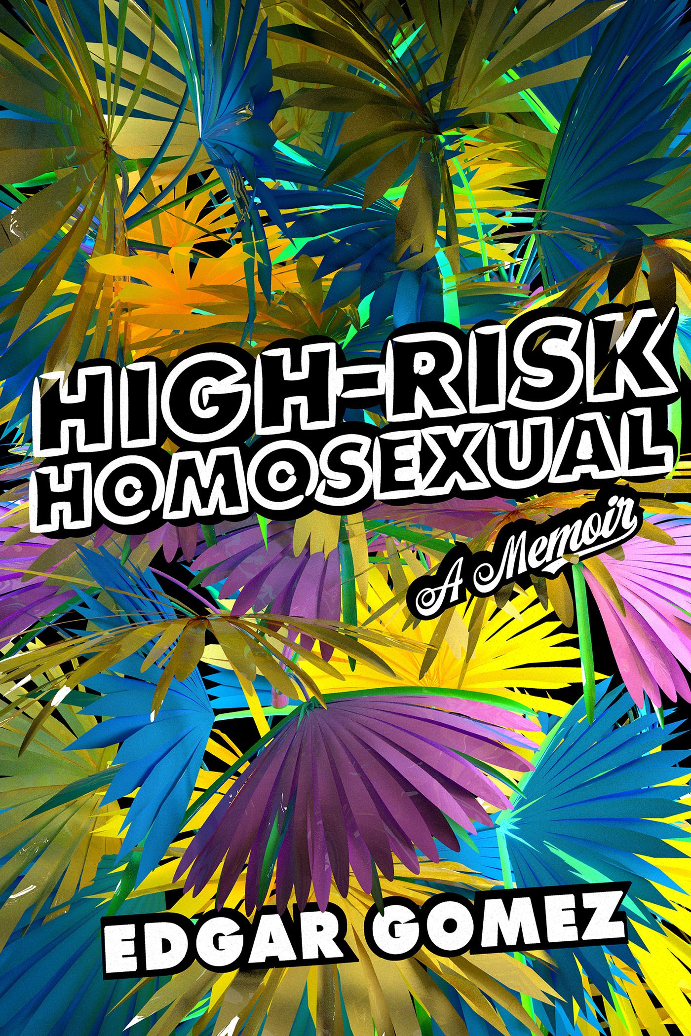 Cover of High-Risk Homosexual