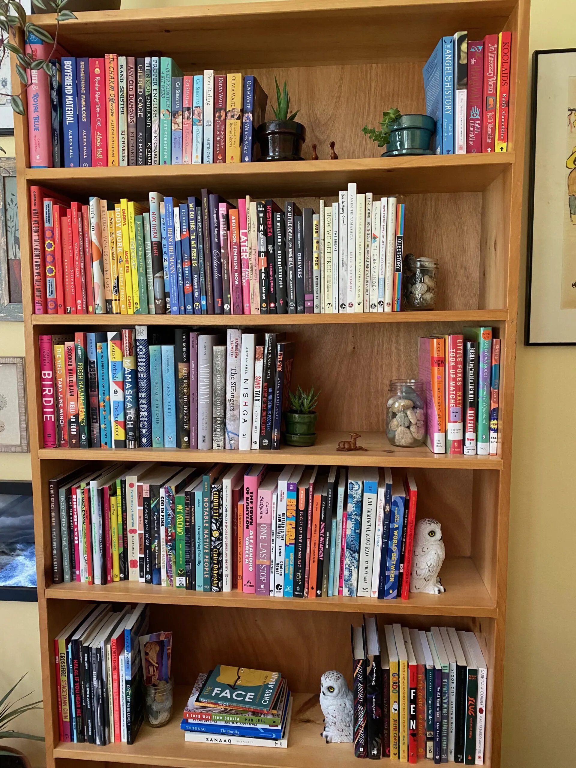 A tall wooden bookshelf, filled with colorful books, small glass jars filled with stones, potted succulents, and small wooden figurines. Photo by the author. 