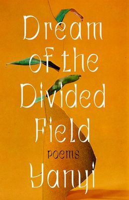 Cover of Dream of the Divided Field