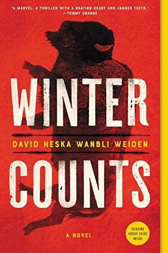 cover of Winter Counts