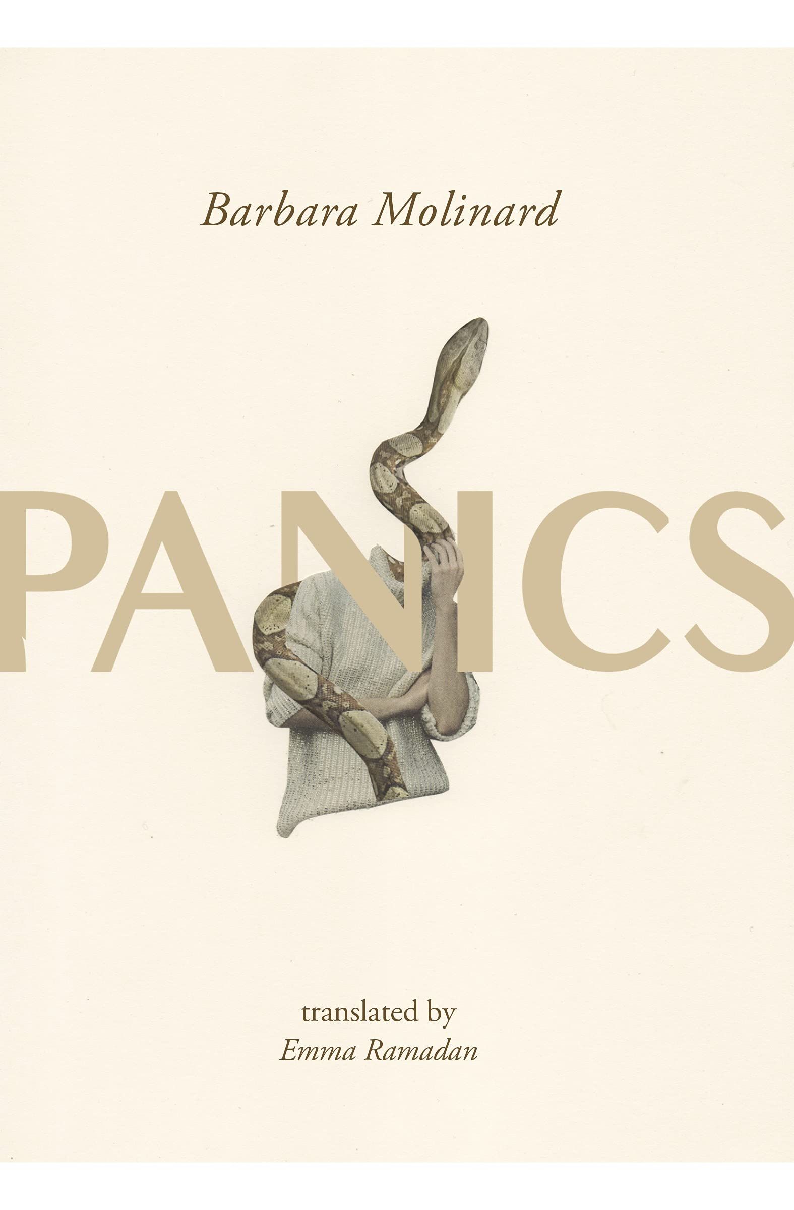 Cover of Panics by Barbara Molinard