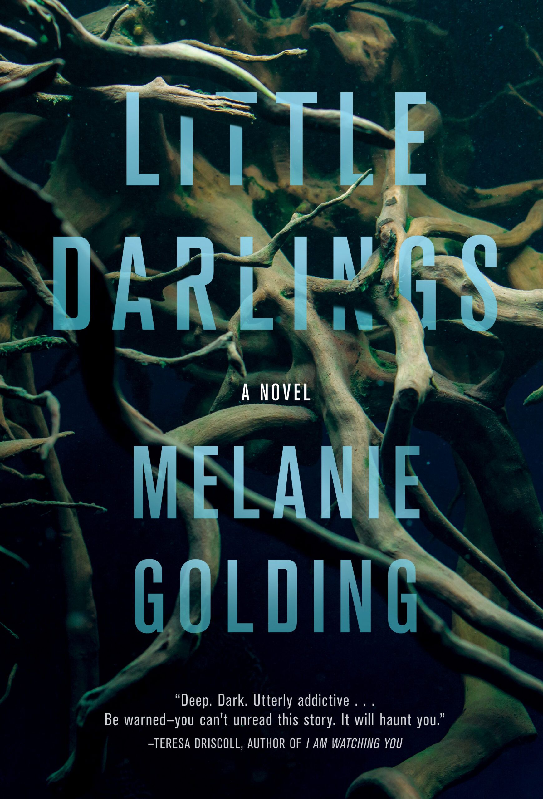 Cover of Little Darlings