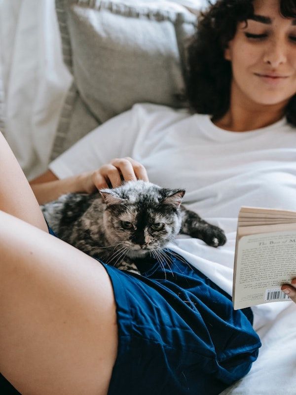 a cat with mottled black and white coat seated in the lap of a women in a white t-shirt and blue shorts reading a book