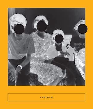 Cover of Visible: Text + Image