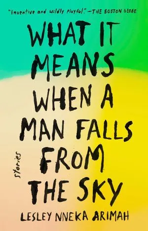 Cover of When a Man Falls from the Sky