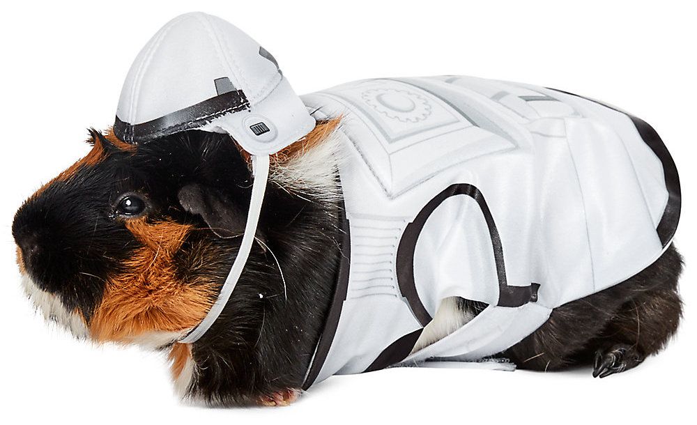 a photo of a guinea pig wearing a stormtrooper outfit including a tiny helmet