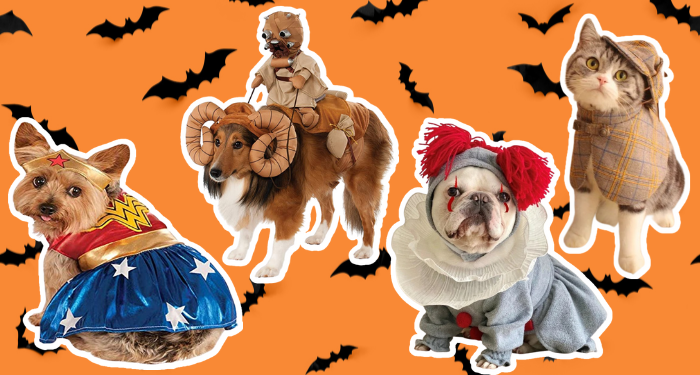 20+ Bookish Pet Halloween Costumes, from Guinea Pigs to Great Danes